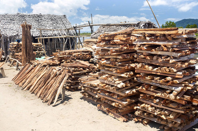 木柴購物視覺全攻略 從圖片素材到創(chuàng)意插畫，打造吸睛營銷